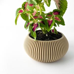 The Torme Planter Pot with Drainage Tray & Stand Included | Modern and Unique Home Decor