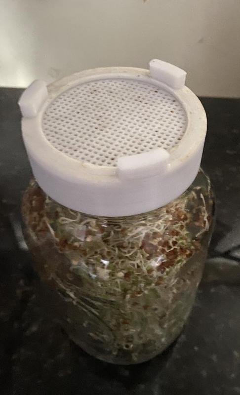 Sprouting Jar Lids -Standard and Wide Mouth Canning Jars