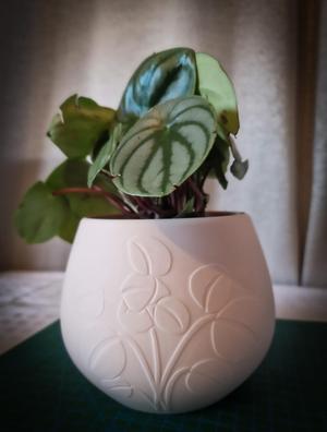 Chinese Money Plant Planter