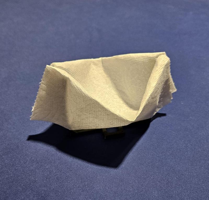 Paper Towel Snack Bowl