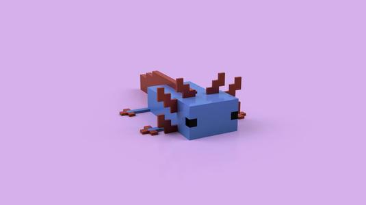 Axolotl Model