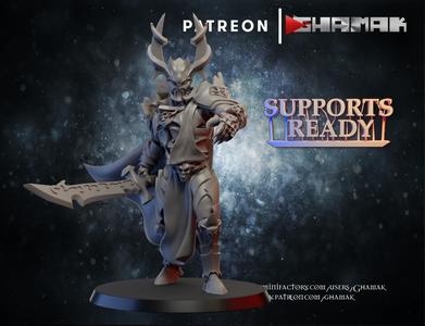 Dark Elf Dragon rider on foot