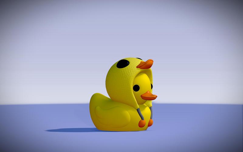Kawaii duckling, with beanie