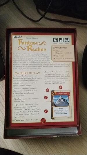 Fantasy Realms insert/organizer