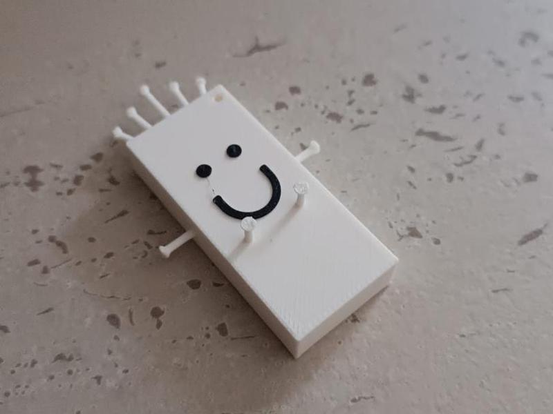 Holly brings good luck