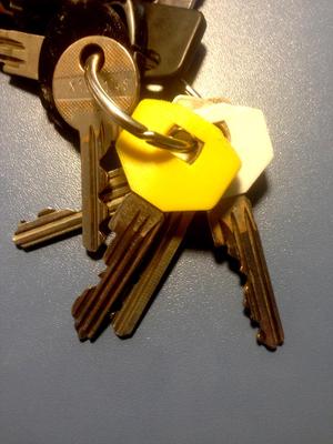 Guard key color cover