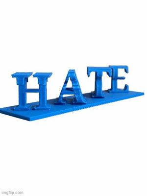 RESIST/HATE AMBIGRAM 