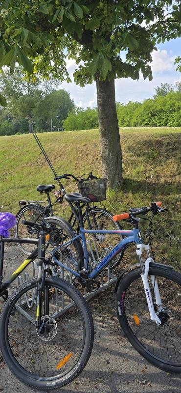 fishingpole holder bike