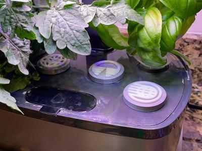 AeroGarden Epcot Disney Themed Hole Covers