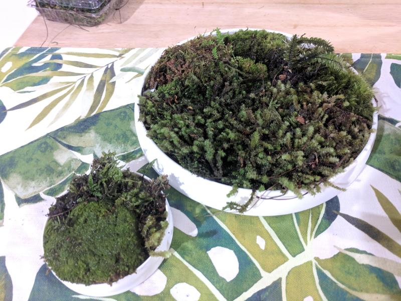 Moss Planters