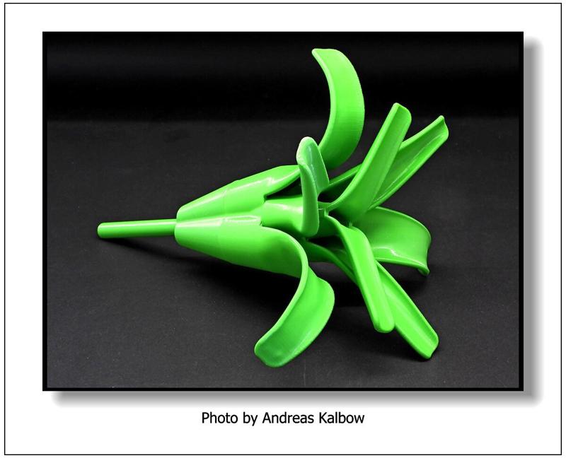 Bromeliad short leaves 2024