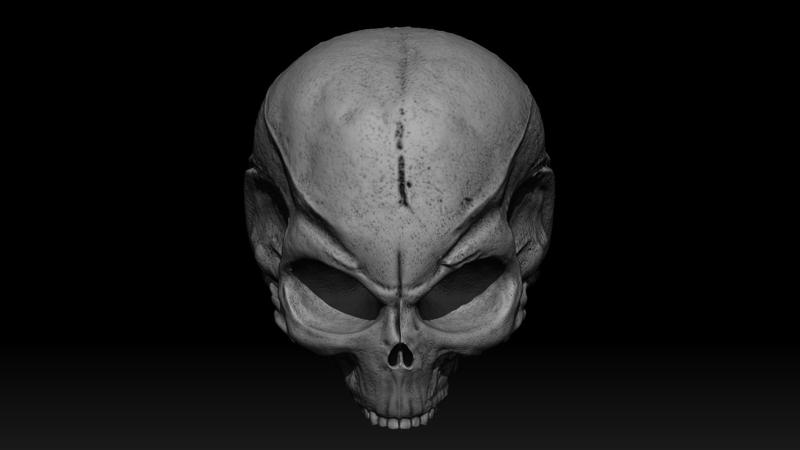 3D PRINTABLE GREY ALIEN SKULL PROP