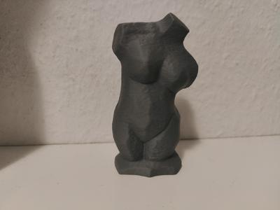 Elegant Female Torso