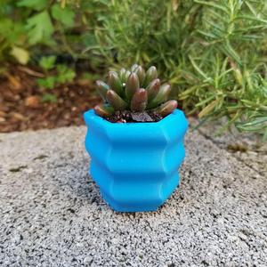 Hex Helix Pot