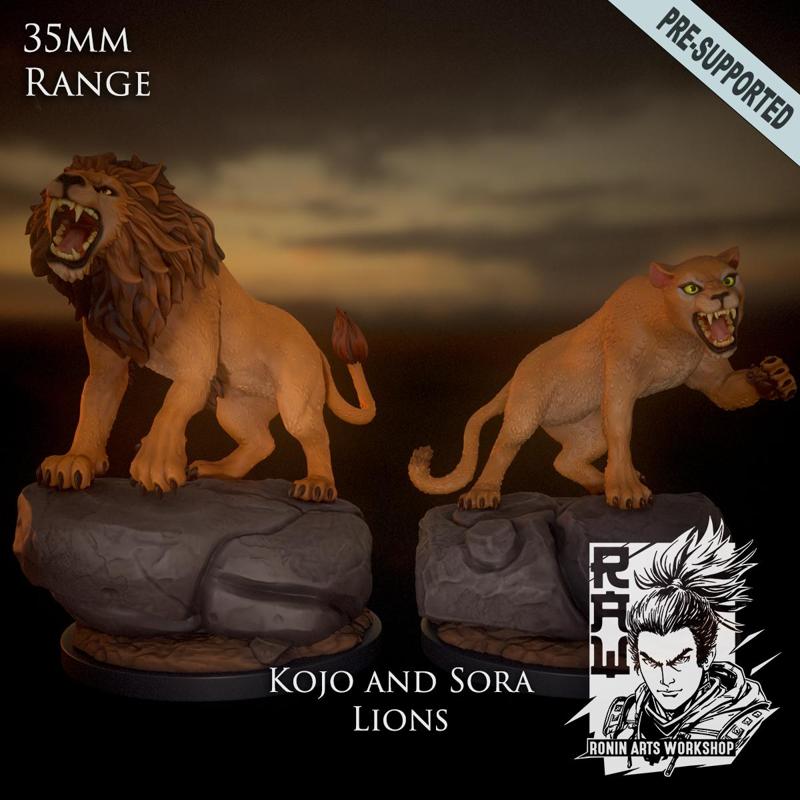 Kojo and Sora - Lions