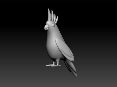 Cockatiel - toon Cockatiel - bird