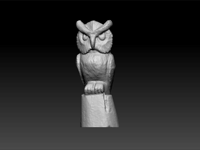 owl