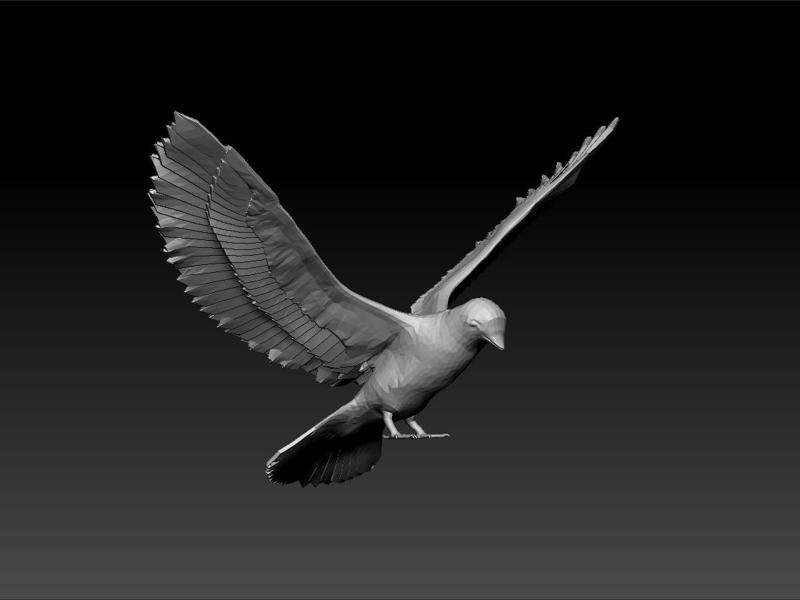 Bird lowpoly for game - bird unity3d - bird ue5