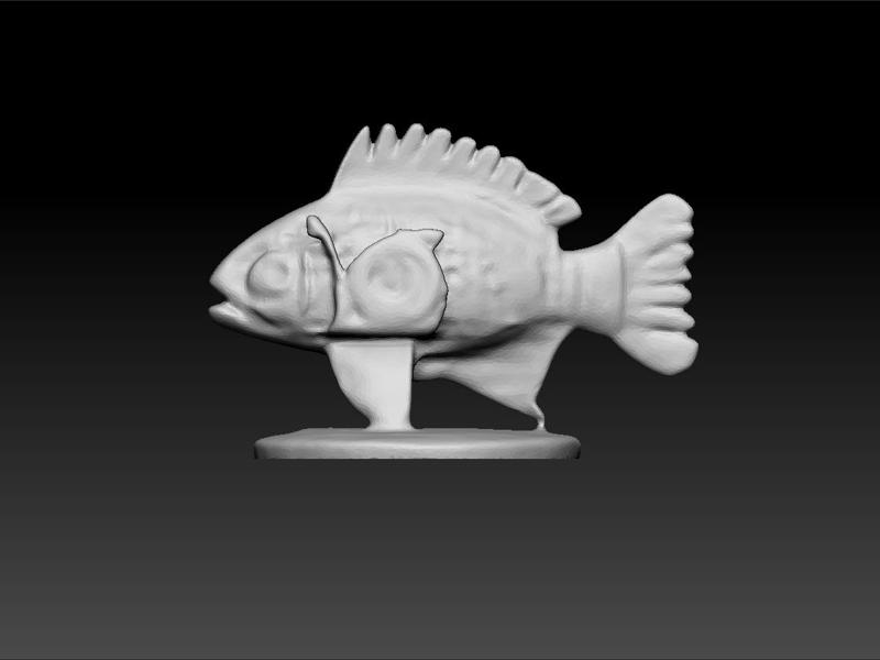 Fish - beauty fish - Decorative fish