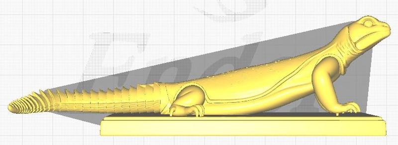 3D model of Uromastyx ocellata with base