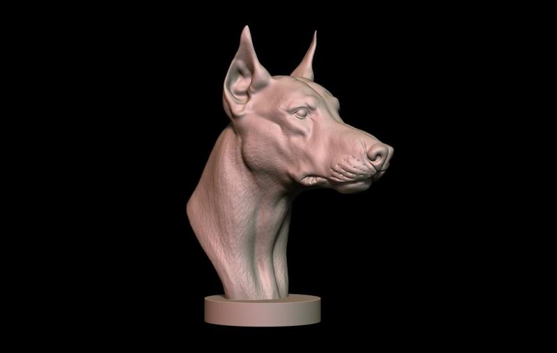 Doberman Bust