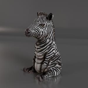 OVERWEIGHT ZEBRA