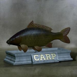 fish carp / Cyprinus carpio statue detailed texture for 3d printing