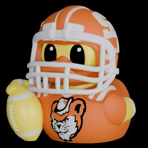 Sam Houston Bearkats