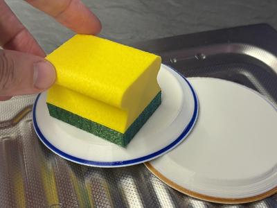 Dish Sponge