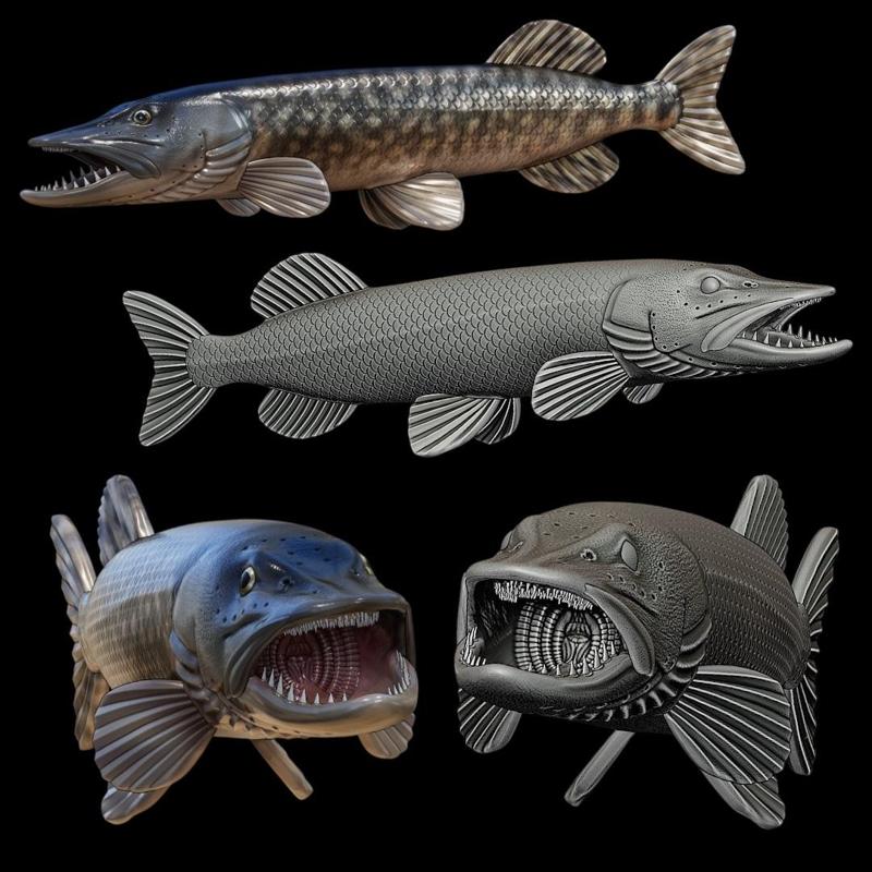 NORTHERN PIKE / ESOX LUCIUSopen mouth fish model for 3D printing