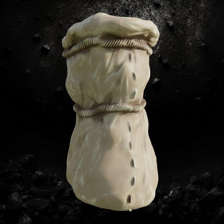 Apple bag