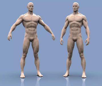 Base mesh male body