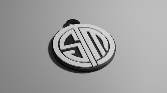 TSM Key Ring