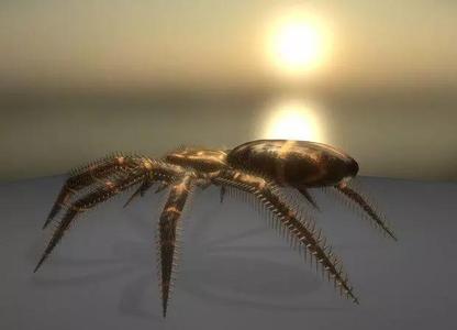 Spider Animated And Game-Ready 3D Model