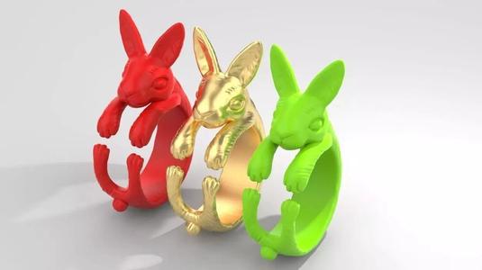 rabbit ring  Silver Gold  Print