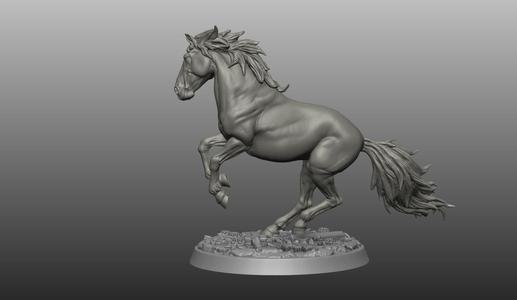 Horse pose 12