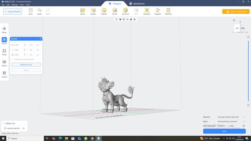 Lion Sora Kingdom Hearts