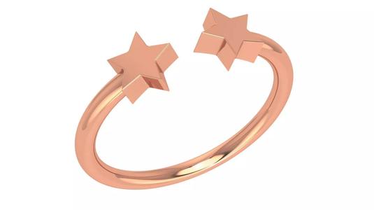 Star Couple Plain Gold Ring 3dm stl renders details