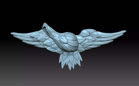 Eagle bird flying in sky