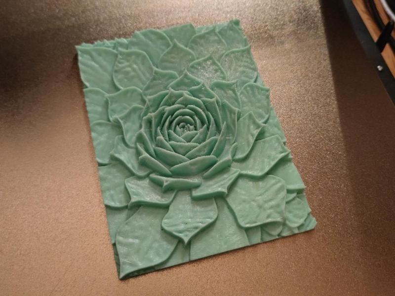 Houseleek 3D Picture