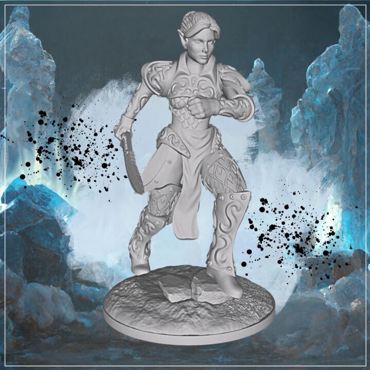 Female elf fighter 3