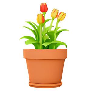 Tulip Planter with Saucer