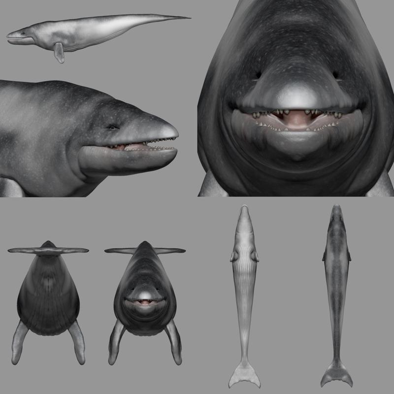 Basilosaurus prehistoric whale - 3d printable files
