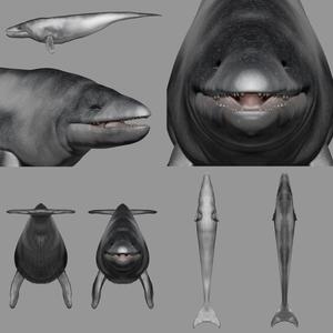 Basilosaurus prehistoric whale - 3d printable files