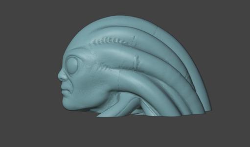 Master Kitfisto Star Wars the force Unleashed Bust Head, and Vase for 3d printing