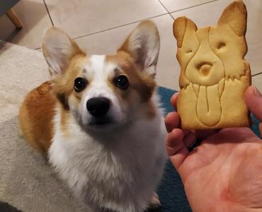 Cookie Cutter Nessie the Corgi