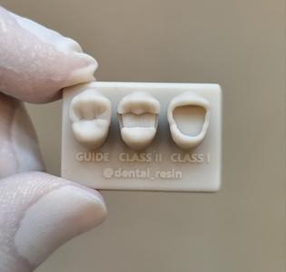 Upper premolar for training