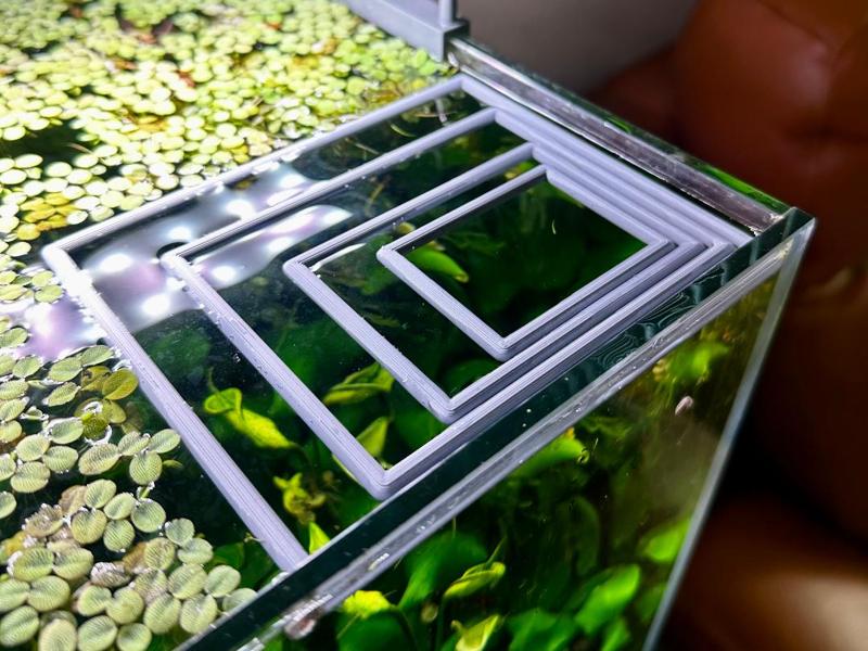 Floating Aquarium Plant & Feeding Rectangle