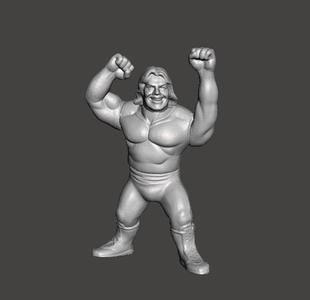 WWF WWE SIMBA EARL OF POWER WENTOYS SERIES 1 HASBRO WRESTLING CHAMPS