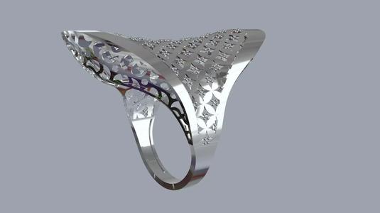 Oval fusion ring